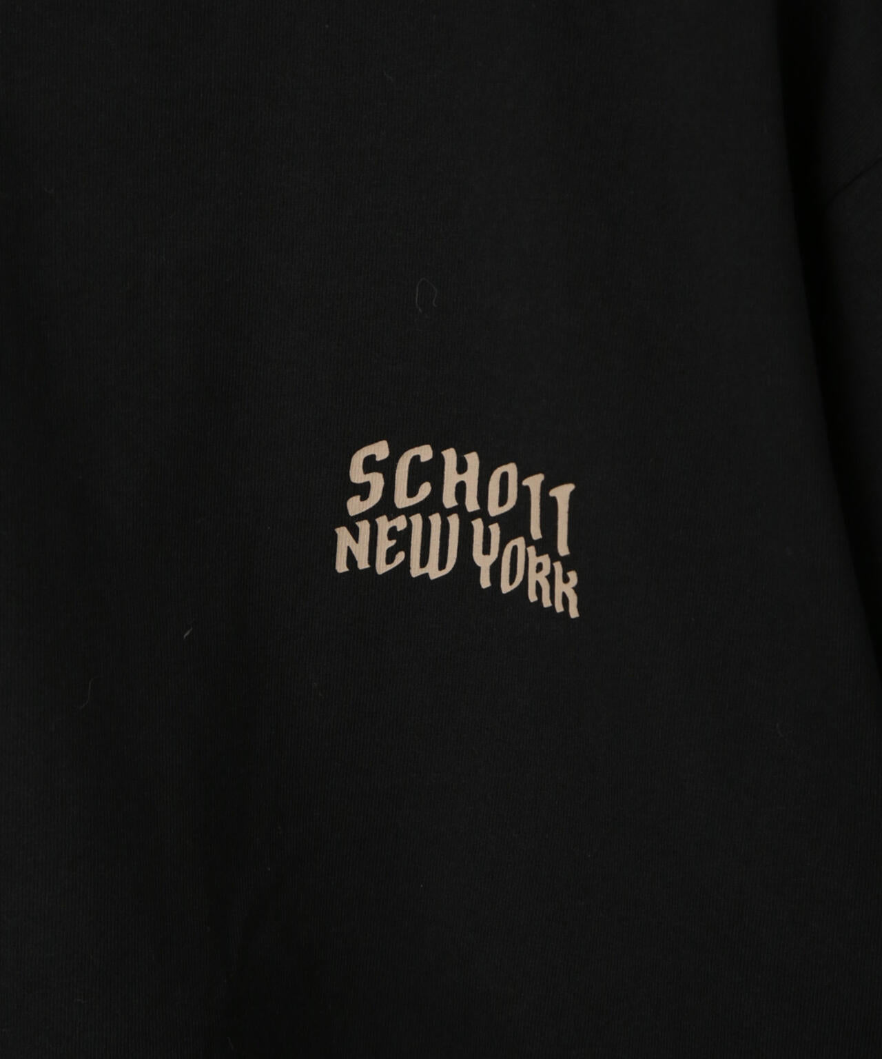 Schott/別注 BULLDOG S/S TEE
